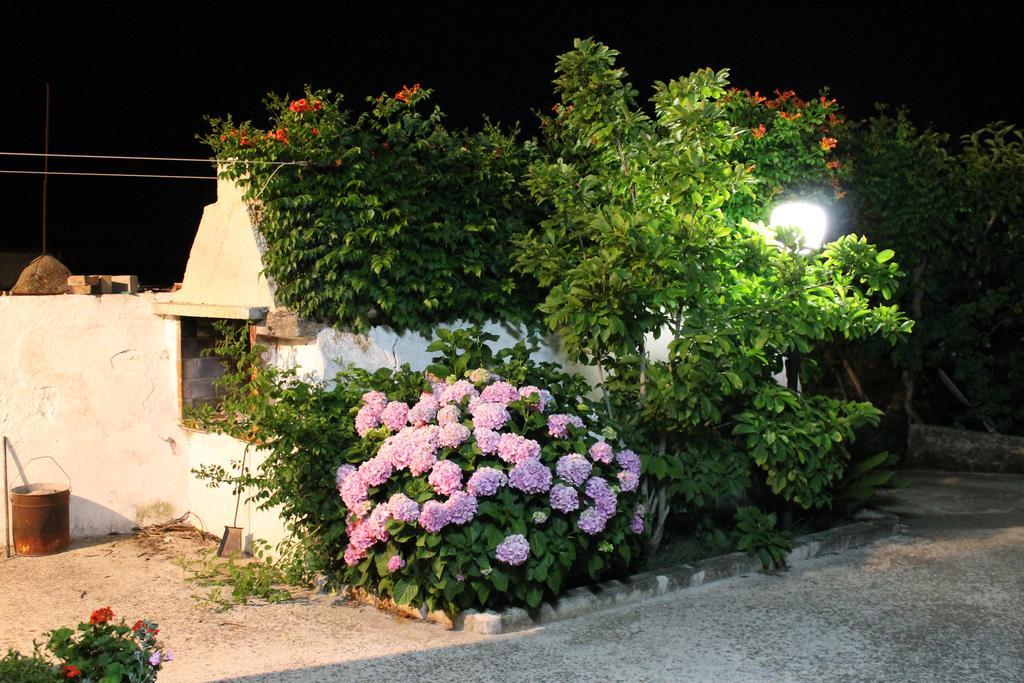Bed and Breakfast La Casa Del Nonno Alberobello Exterior foto