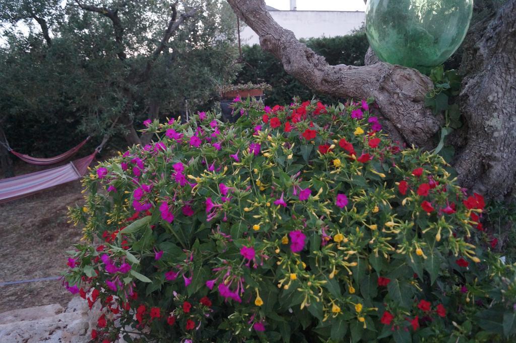 Bed and Breakfast La Casa Del Nonno Alberobello Exterior foto
