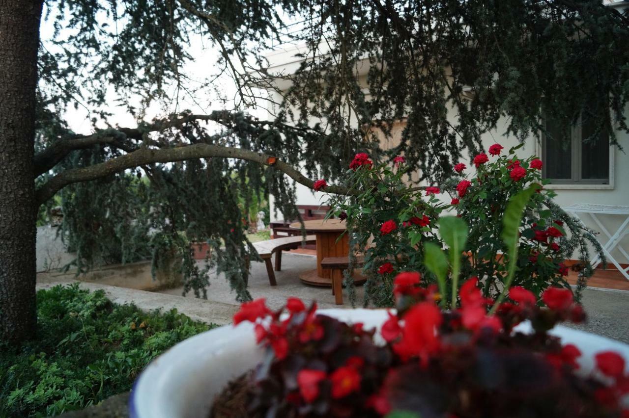 Bed and Breakfast La Casa Del Nonno Alberobello Exterior foto